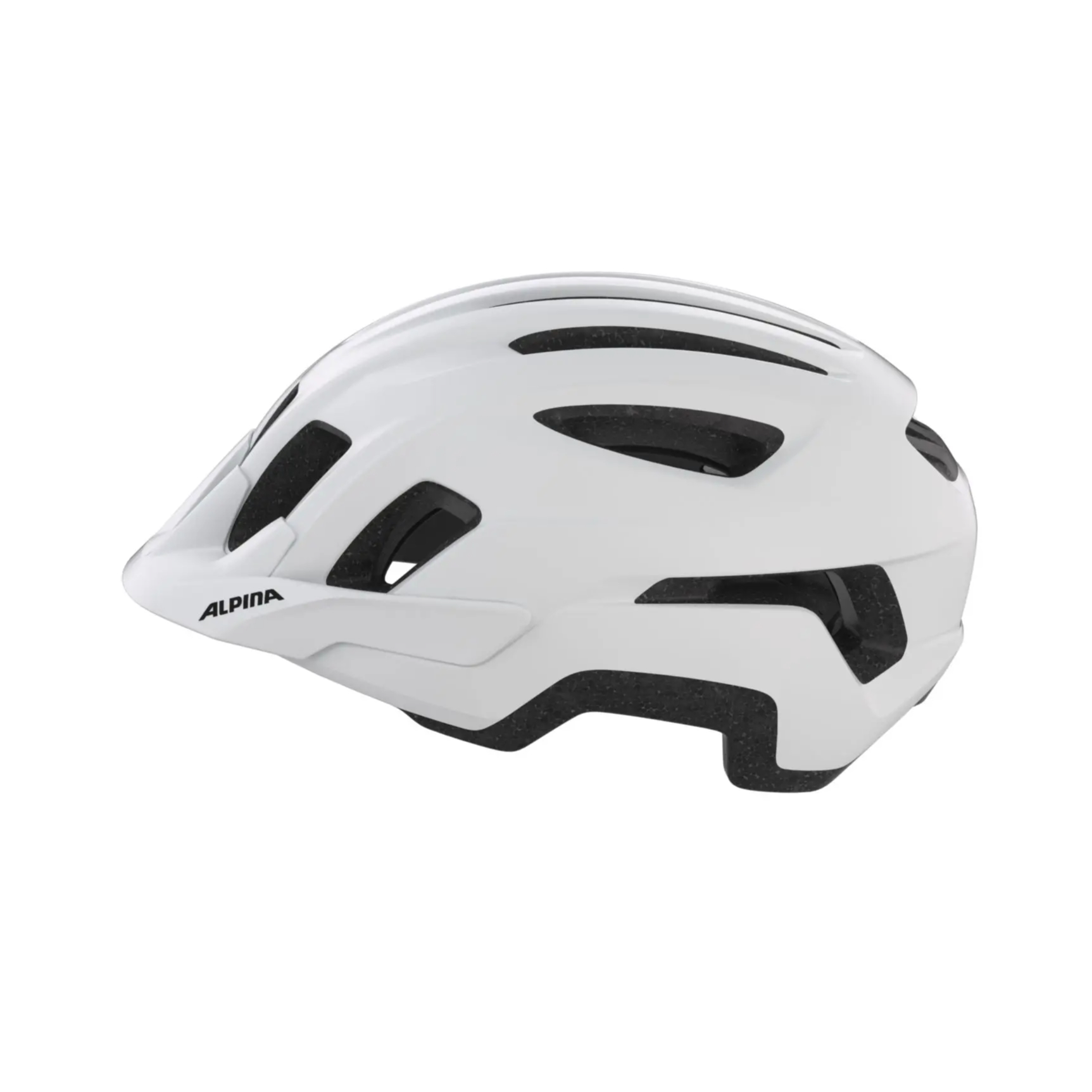Alpina Paranus Fahrradhelm