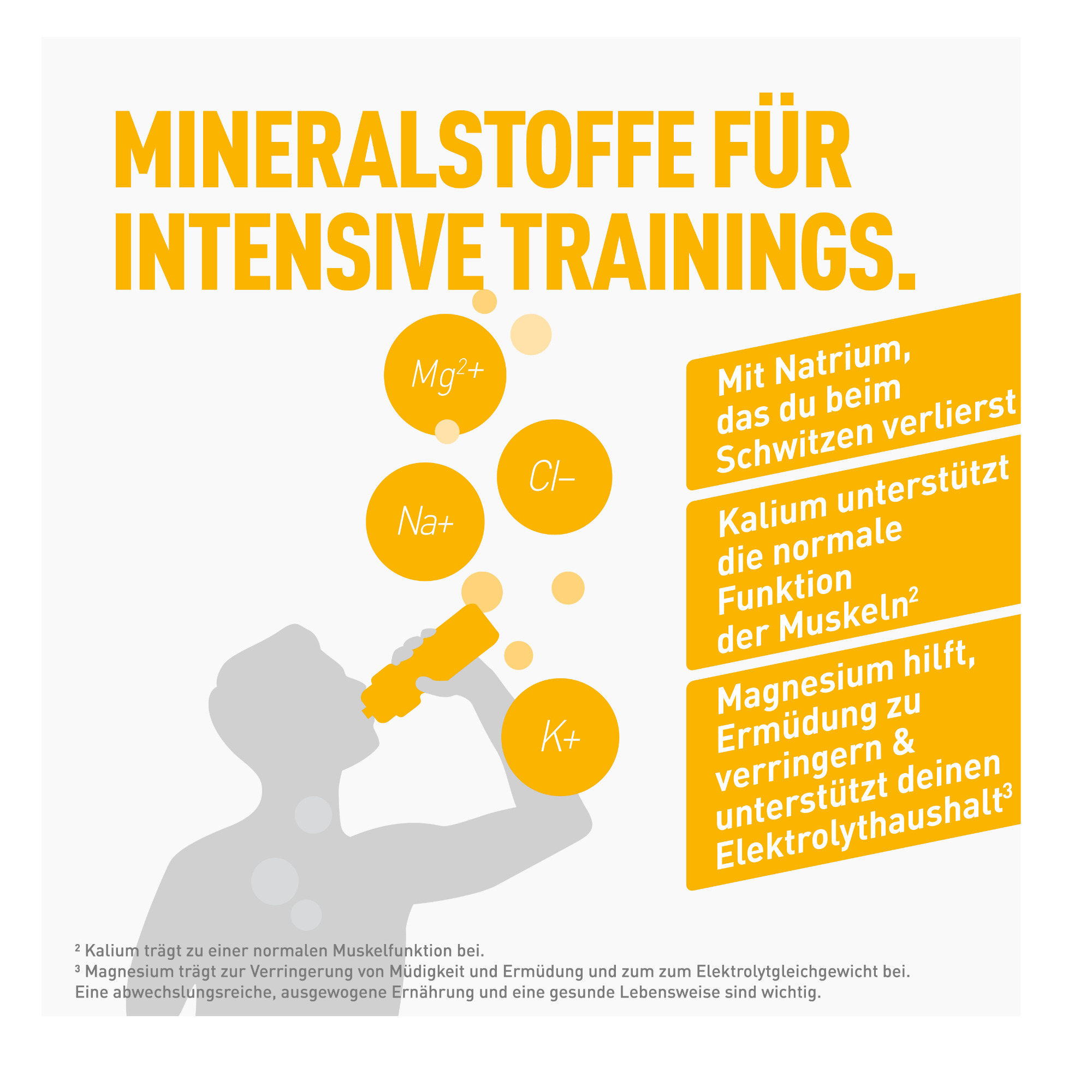 Dextro Energy* Iso Fast Elektrolyte Getränk (1120 g)