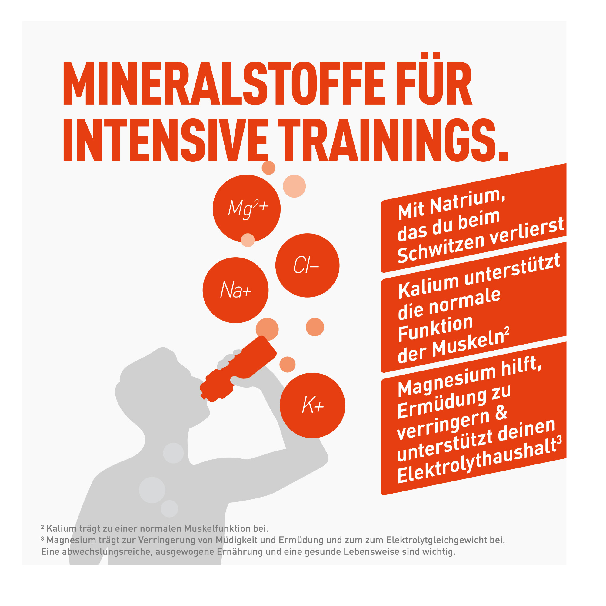 Dextro Energy* Iso Fast Elektrolyte Getränk (1120 g)