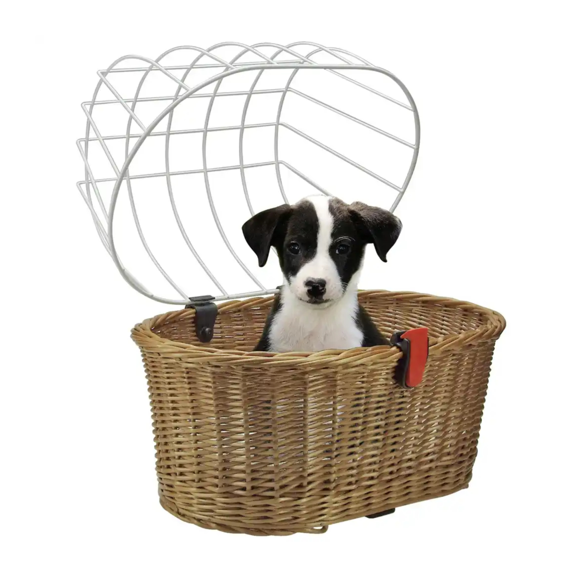 KLICKfix Doggy Basket Racktime Hundekorb Fahrrad