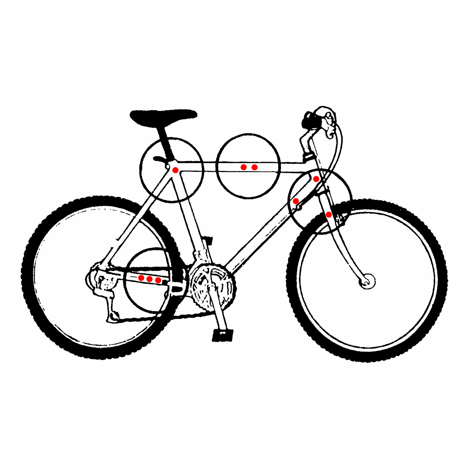 Proline Scratch Guard Schutzfolien Set