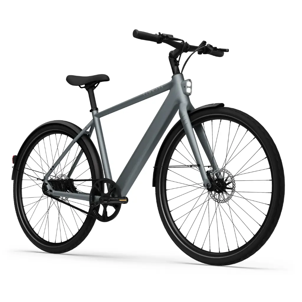 Tenways CGO 600 Pro E-Bike City Bike Herren 28" grau