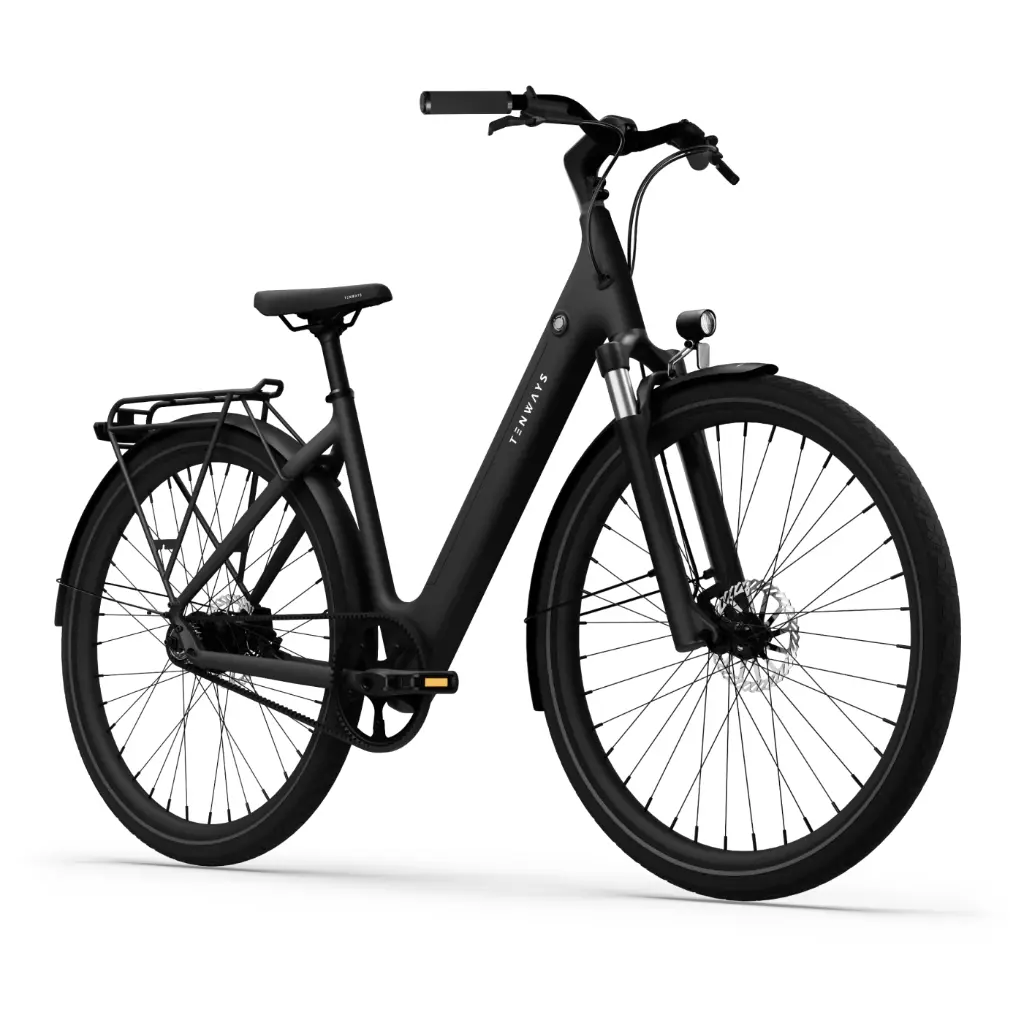 Tenways CGO 800 S E-Bike City Bike Tiefeinsteiger 28" schwarz