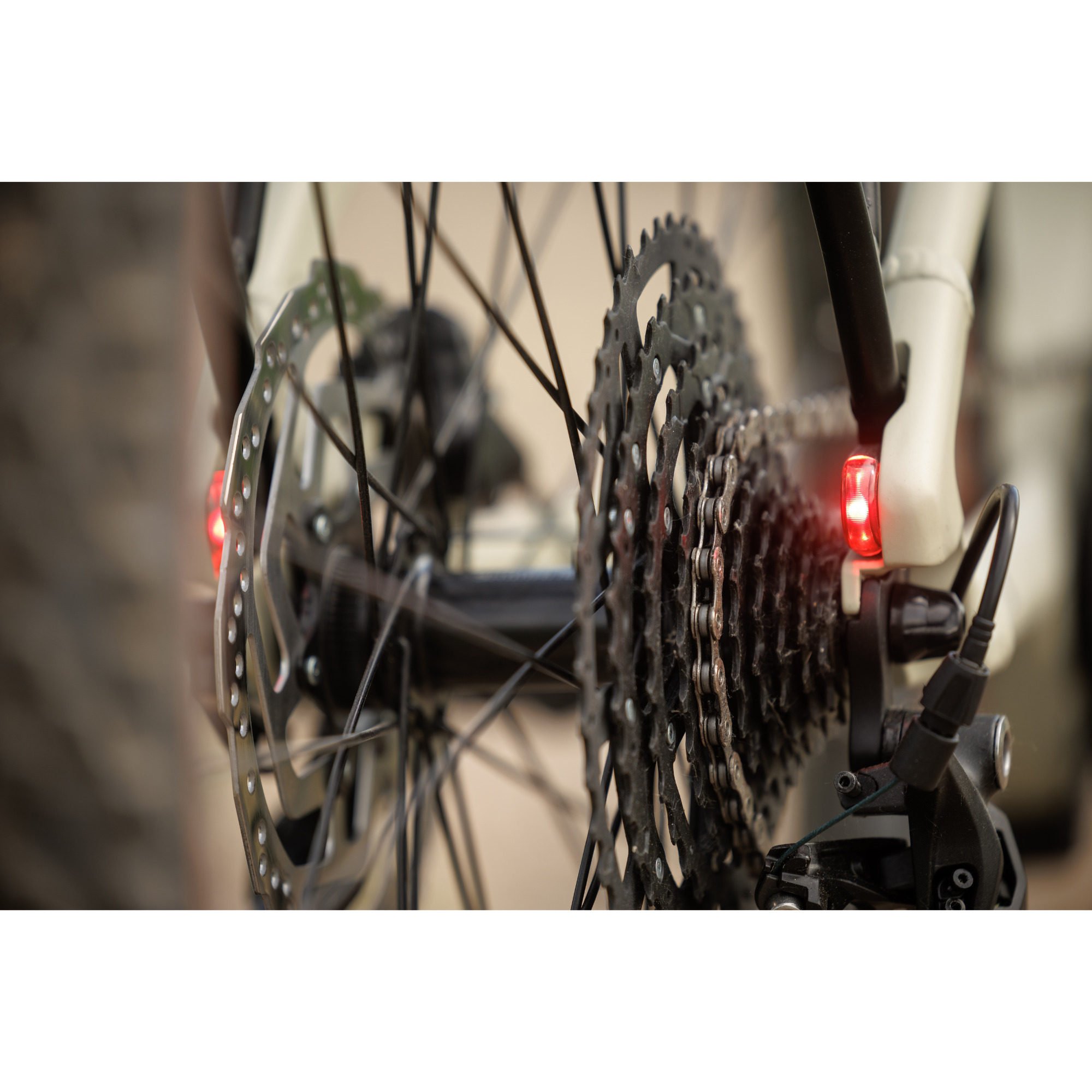 Bulls Iconic EVO 1 E-Bike Trekkingrad Herren 29" beige