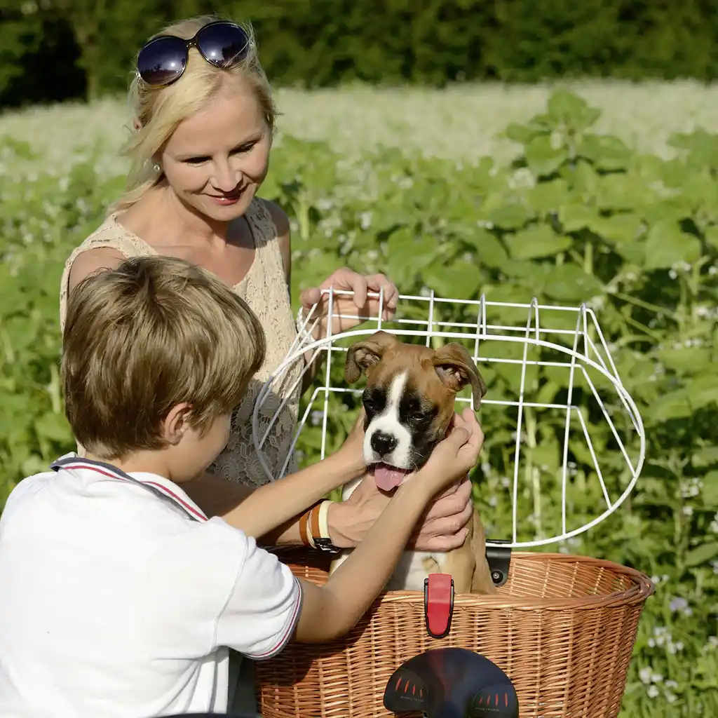 KLICKfix Doggy Basket Racktime Hundekorb Fahrrad