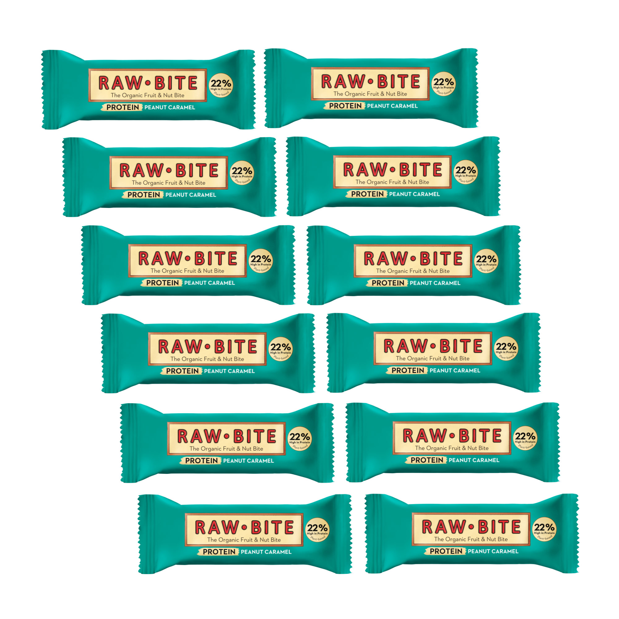 Raw Bite The Organic Fruit Nut Bite Protein Eiweißriegel vegan Box (12 x 45 g)