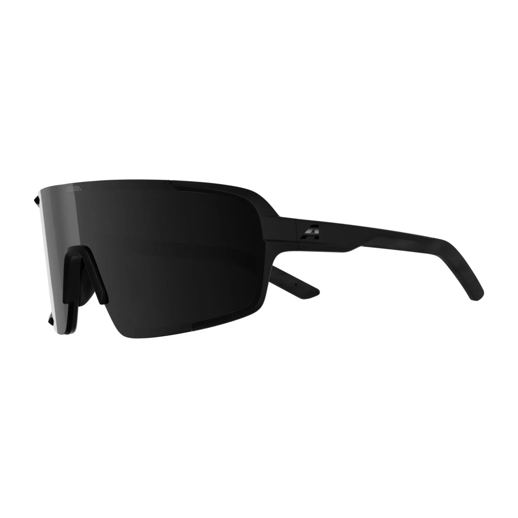Alpina Lumin Fahrradbrille