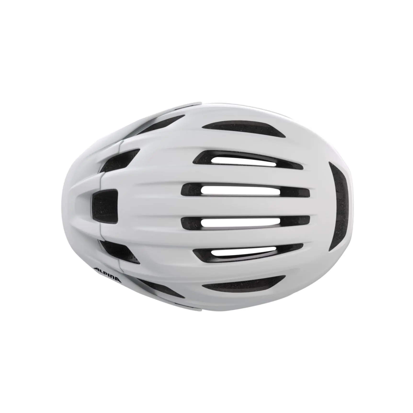 Alpina Paranus Fahrradhelm