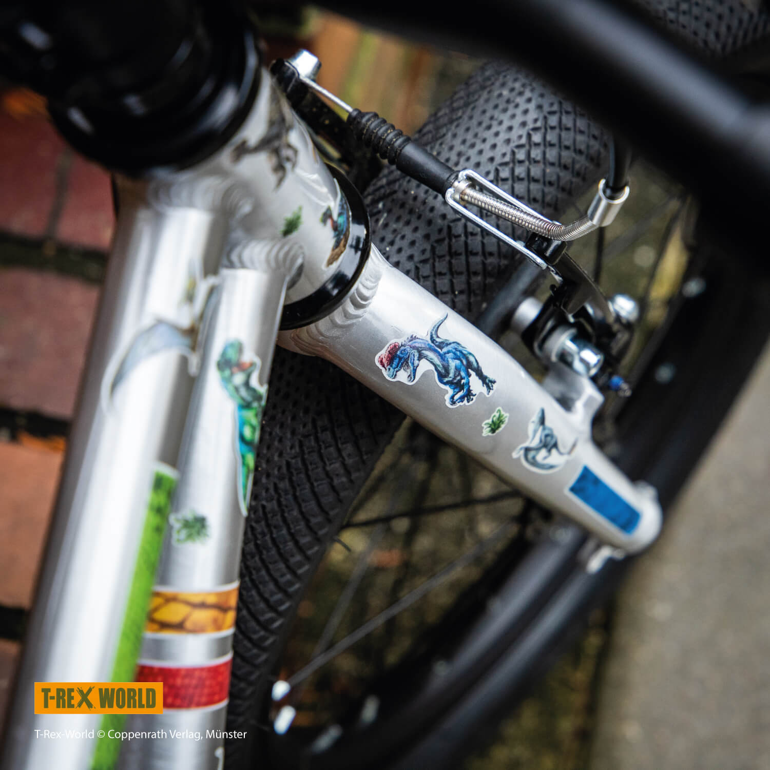 Farbviereck Fahrradaufkleber Reflex T-Rex-World