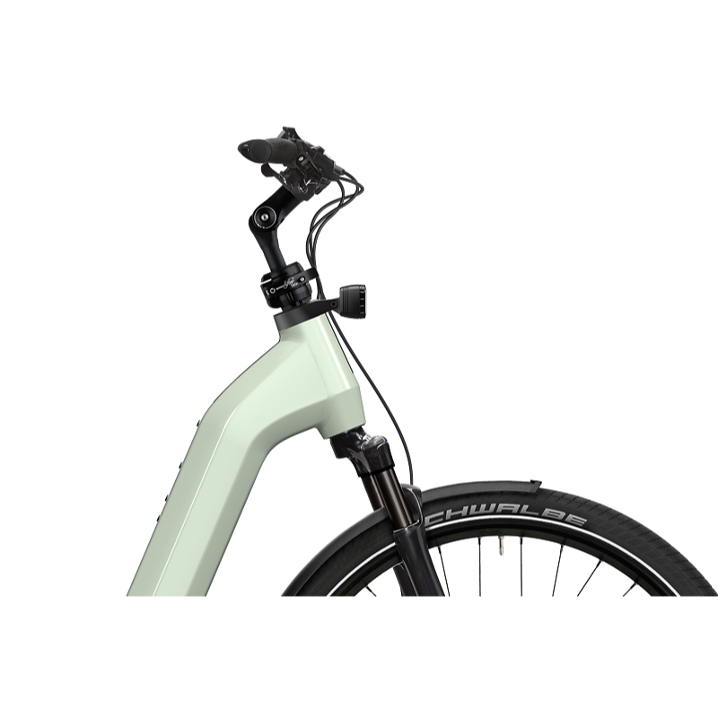 Flyer Gotour 5.43 E-Bike Cityrad Tiefeinsteiger 29" grün