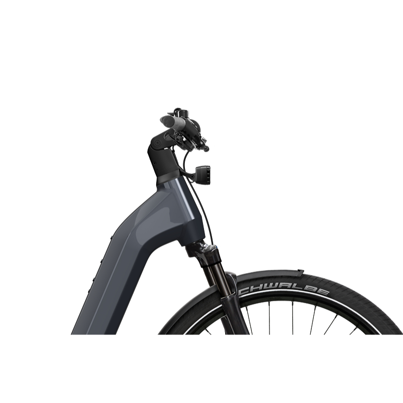 Flyer Gotour 7.10 E-Bike Trekkingrad Tiefeinsteiger 29" grau