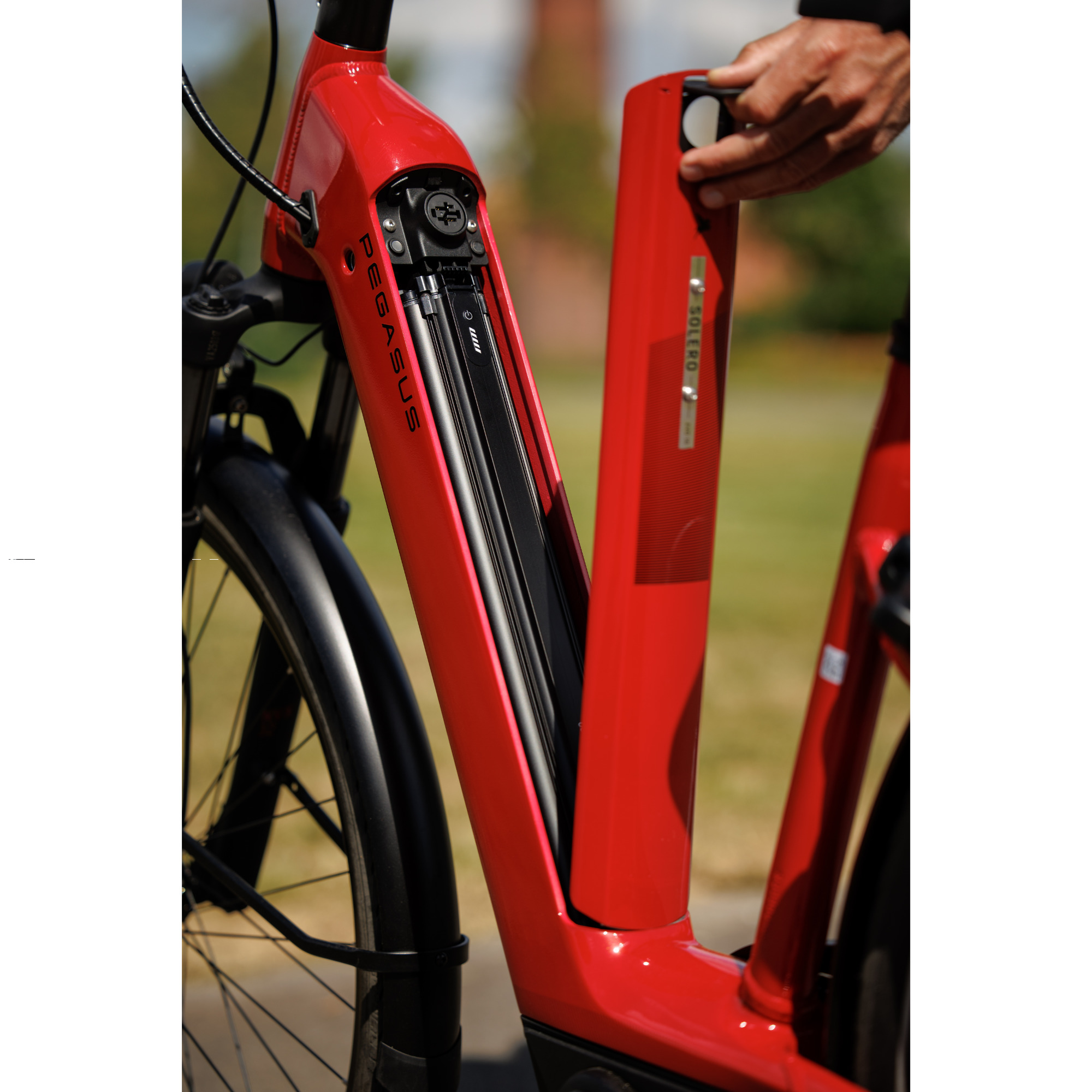 Pegasus Solero EVO 10 E-Bike Trekkingrad Tiefeinsteiger 28" rot
