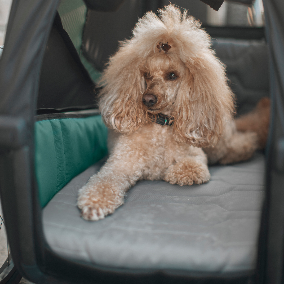Thule Bexey Dog Bed L Hundebett für Hundeanhänger