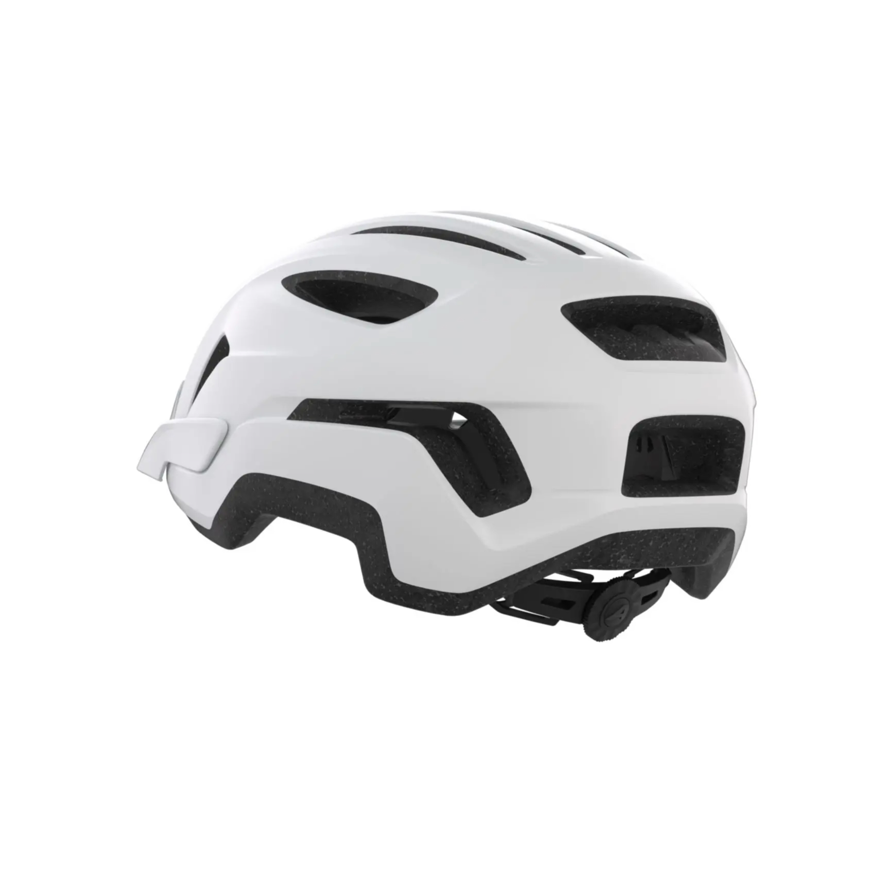 Alpina Paranus Fahrradhelm