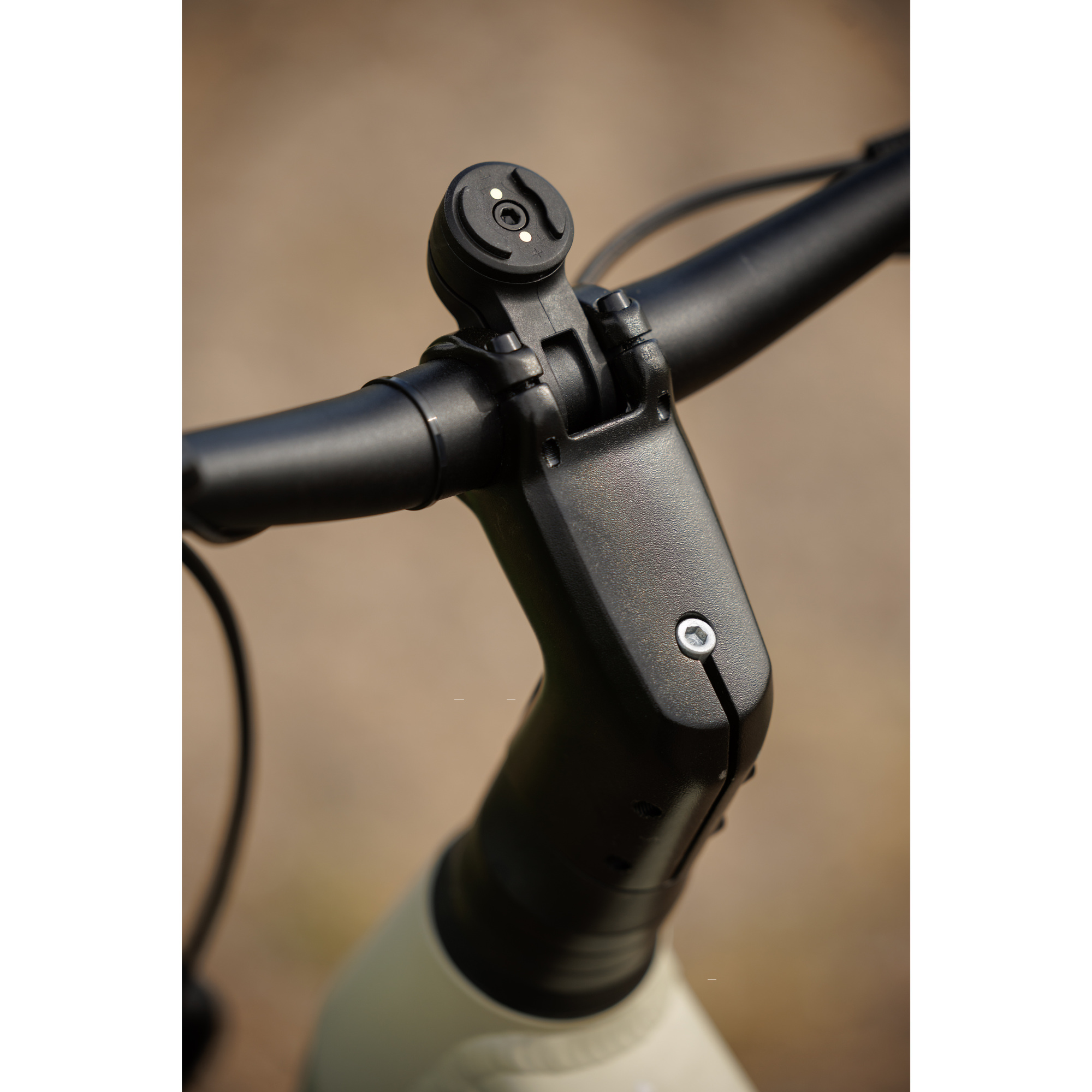 Bulls Iconic EVO 1 E-Bike Trekkingrad Herren 29" beige