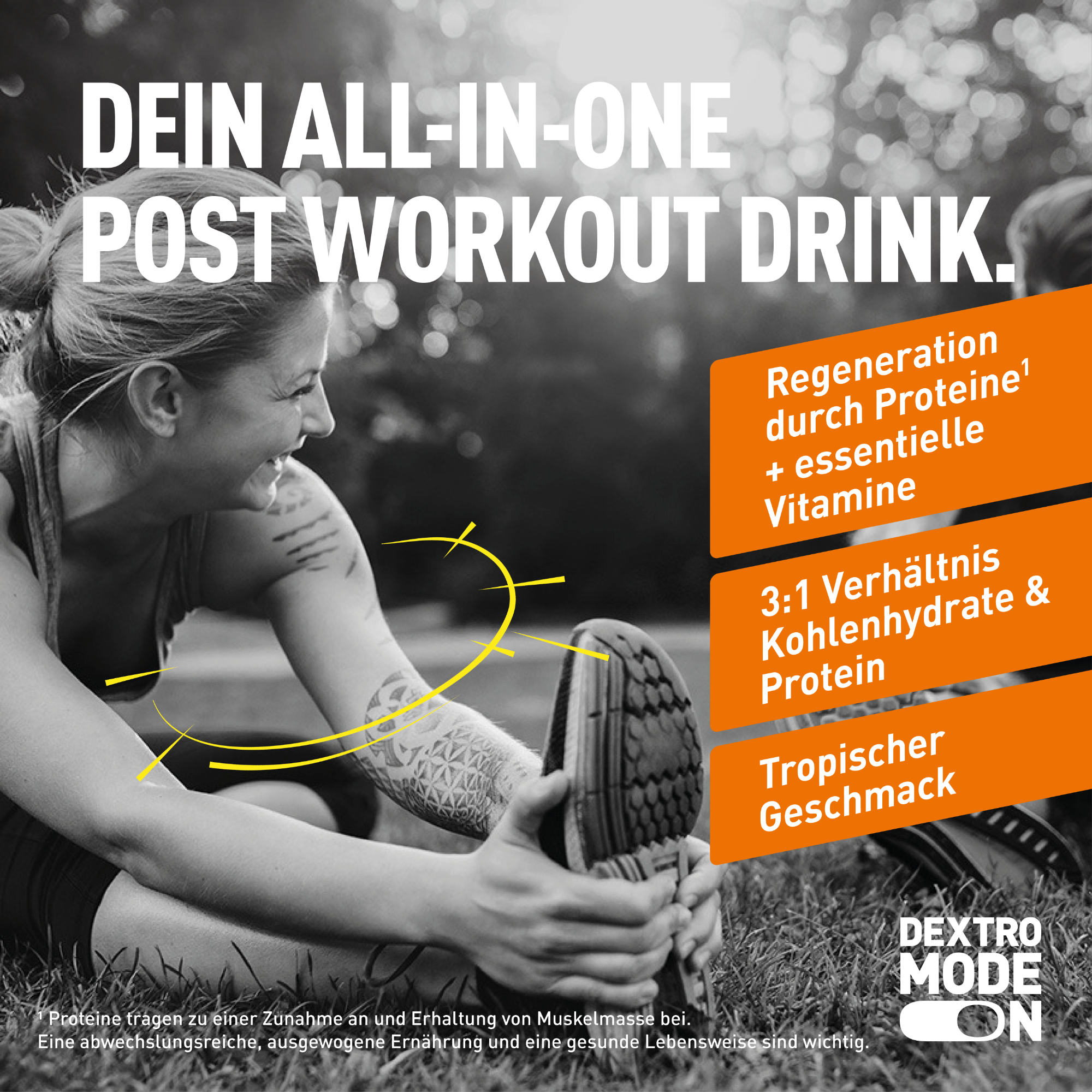 Dextro Energy* Recovery Drink Eiweißpulver (44,5 g)