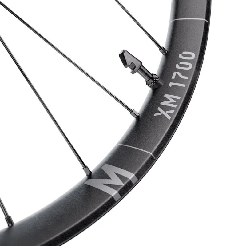 DT Swiss XM 1700 Spline 29" Hinterrad