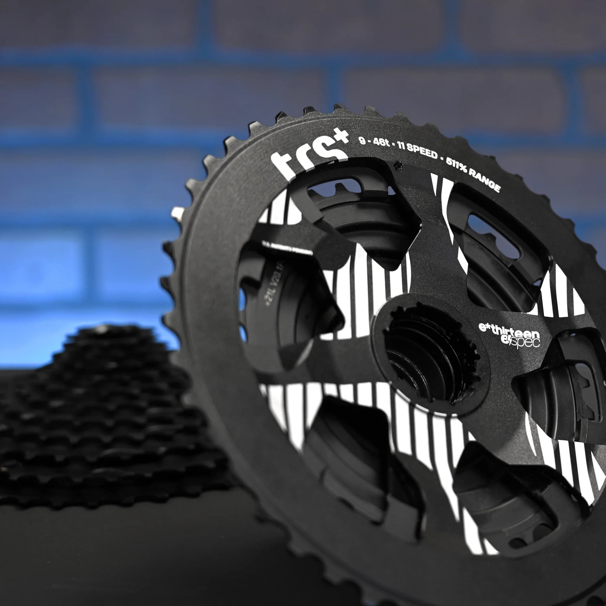 e-thirteen TRS Plus 11-fach MTB-Kassette