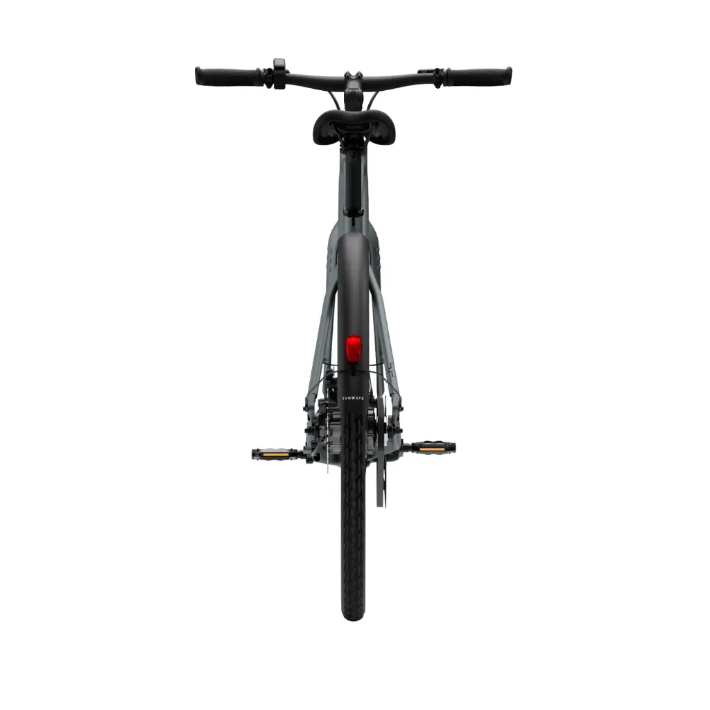 Tenways CGO 600 Pro E-Bike City Bike Herren 28" grau