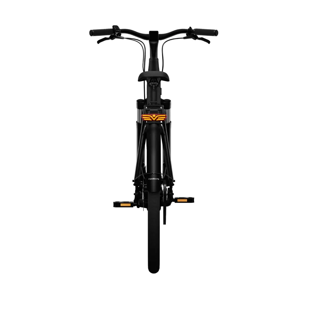 Tenways CGO 800 S E-Bike City Bike Tiefeinsteiger 28" schwarz