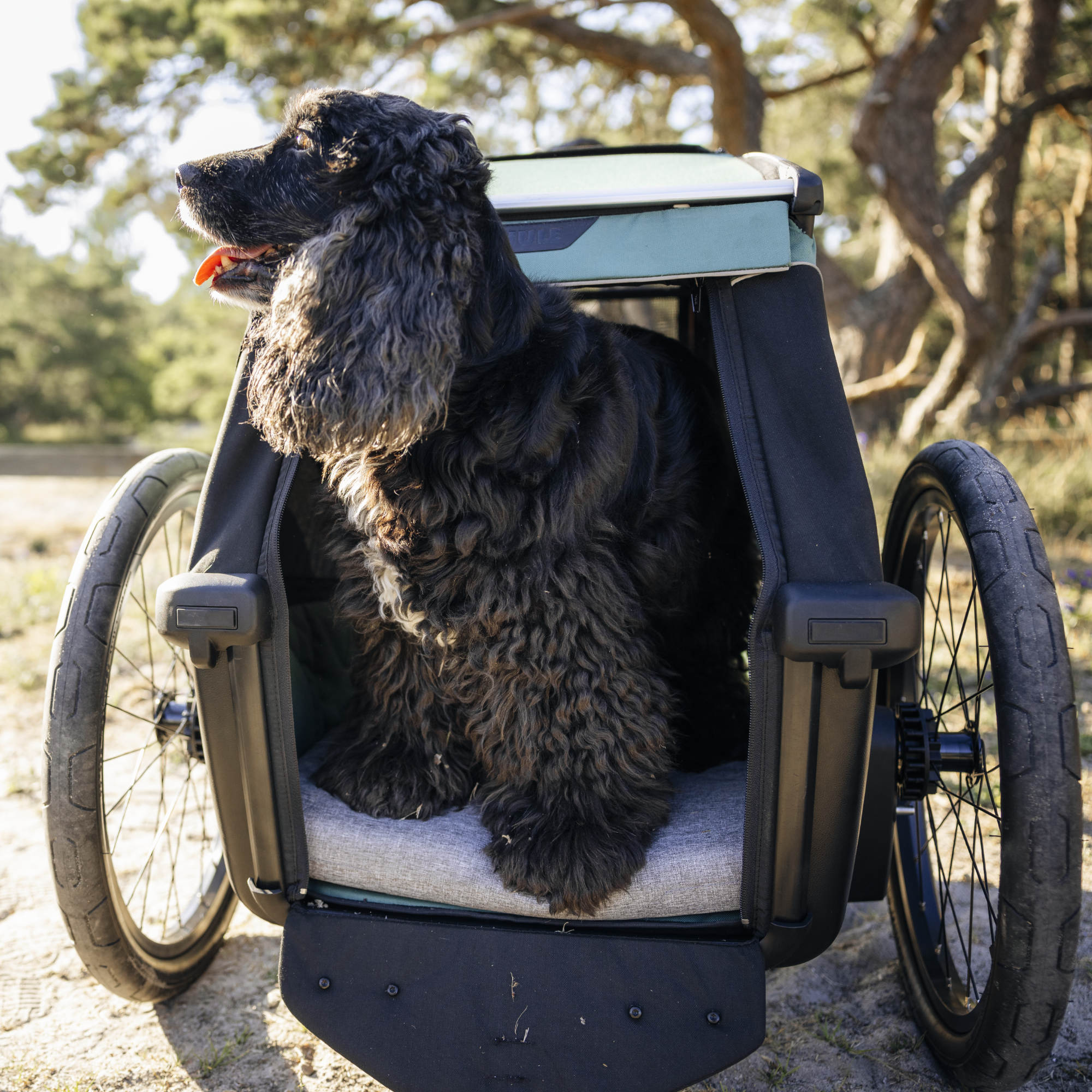 Thule Bexey Dog Bed L Hundebett für Hundeanhänger