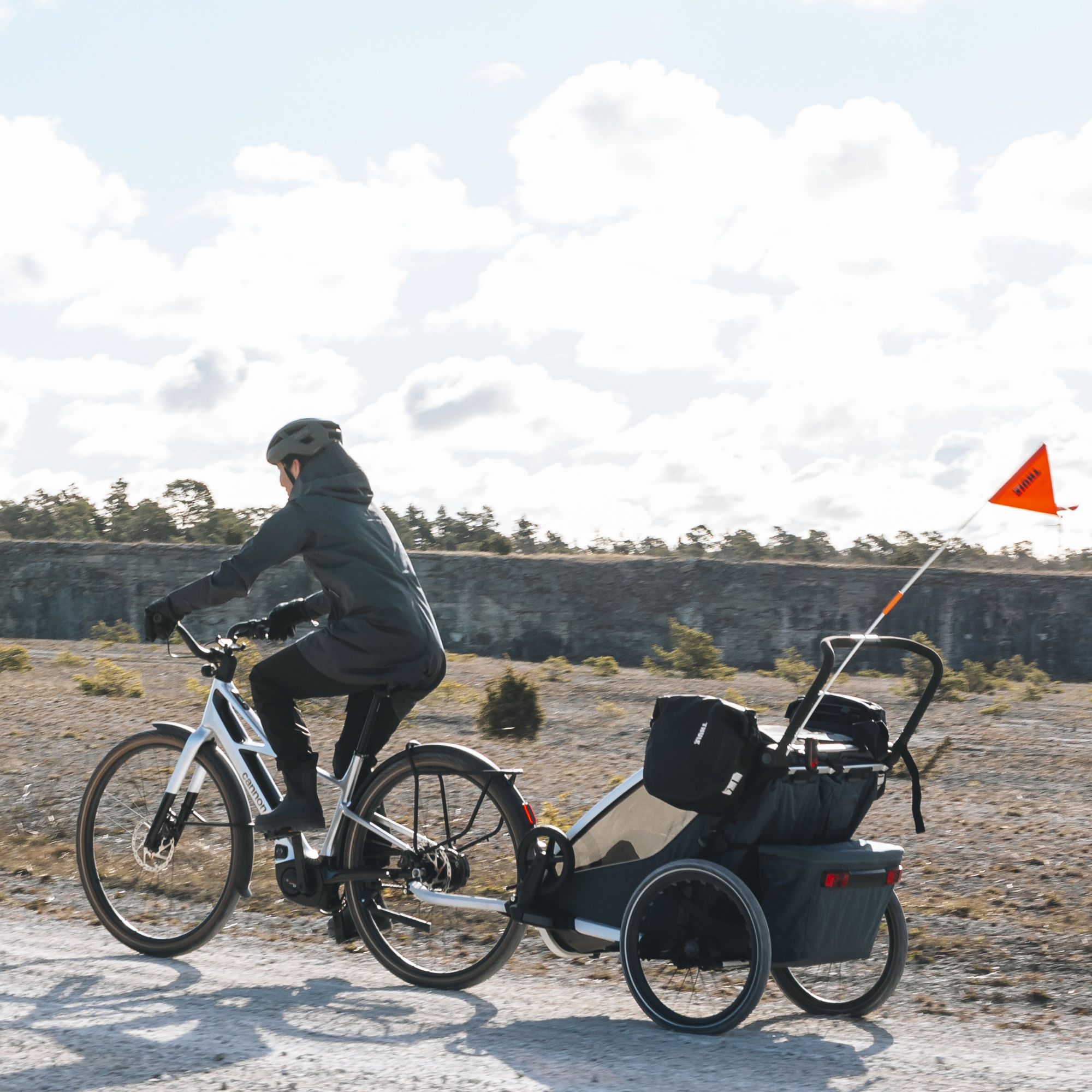 Thule Chariot 2 Bag Adapter Taschenhalter
