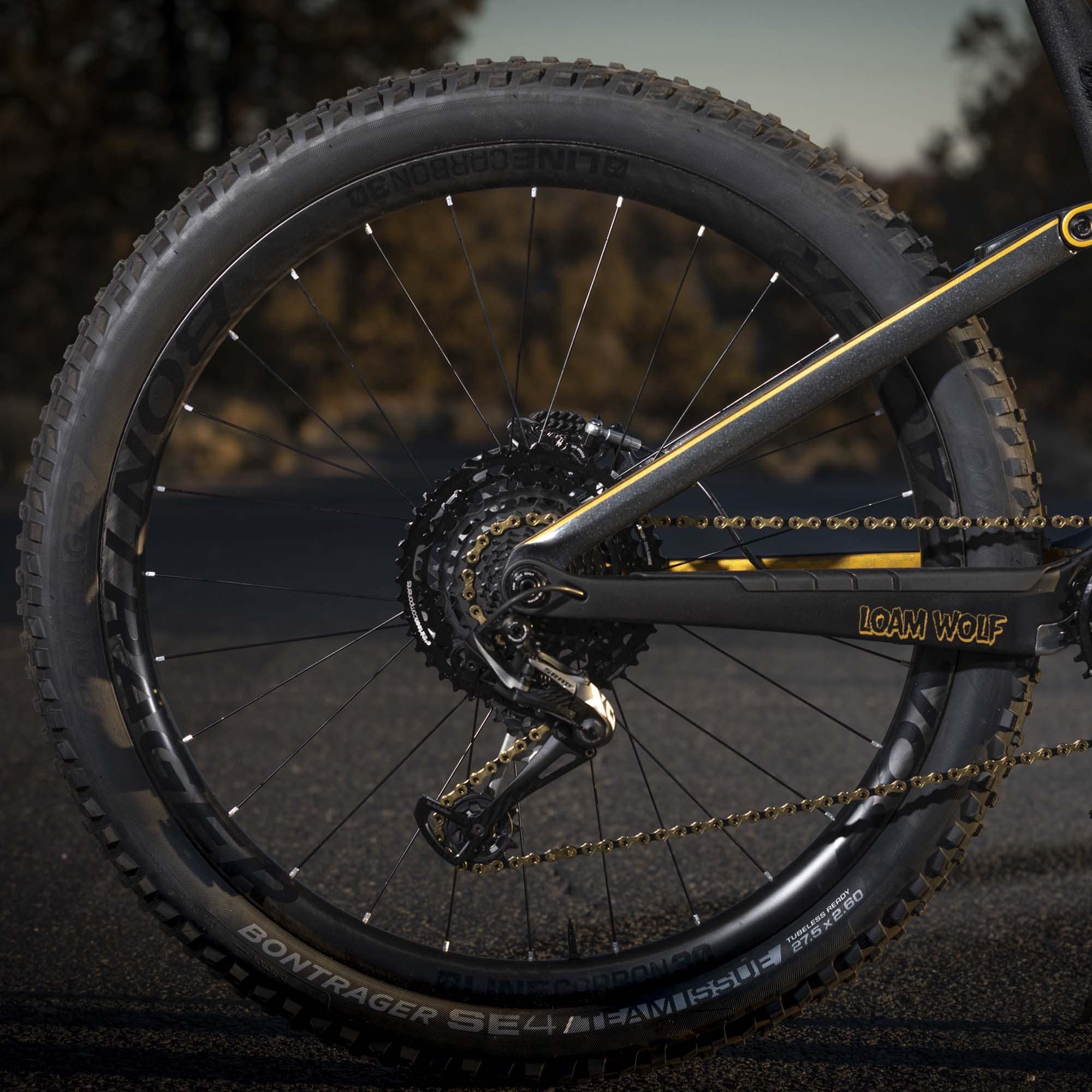e-thirteen TRS Plus 11-fach MTB-Kassette