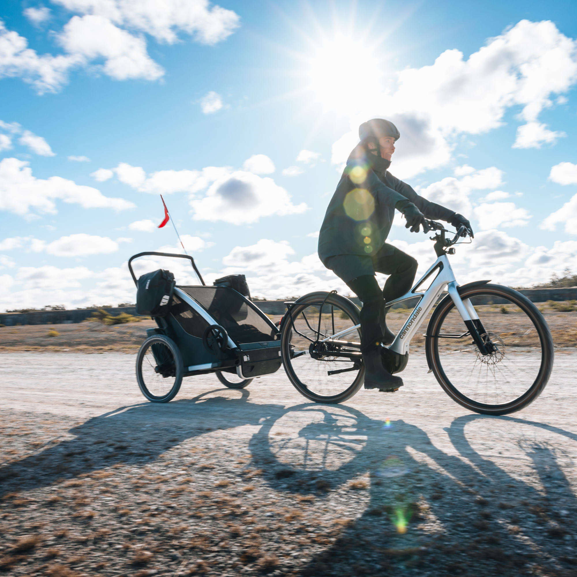Thule Chariot 2 Bag Adapter Taschenhalter
