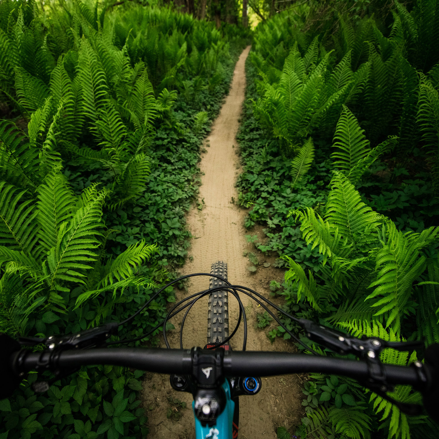Vittoria Mazza Trail 29" MTB-Reifen anthrazit