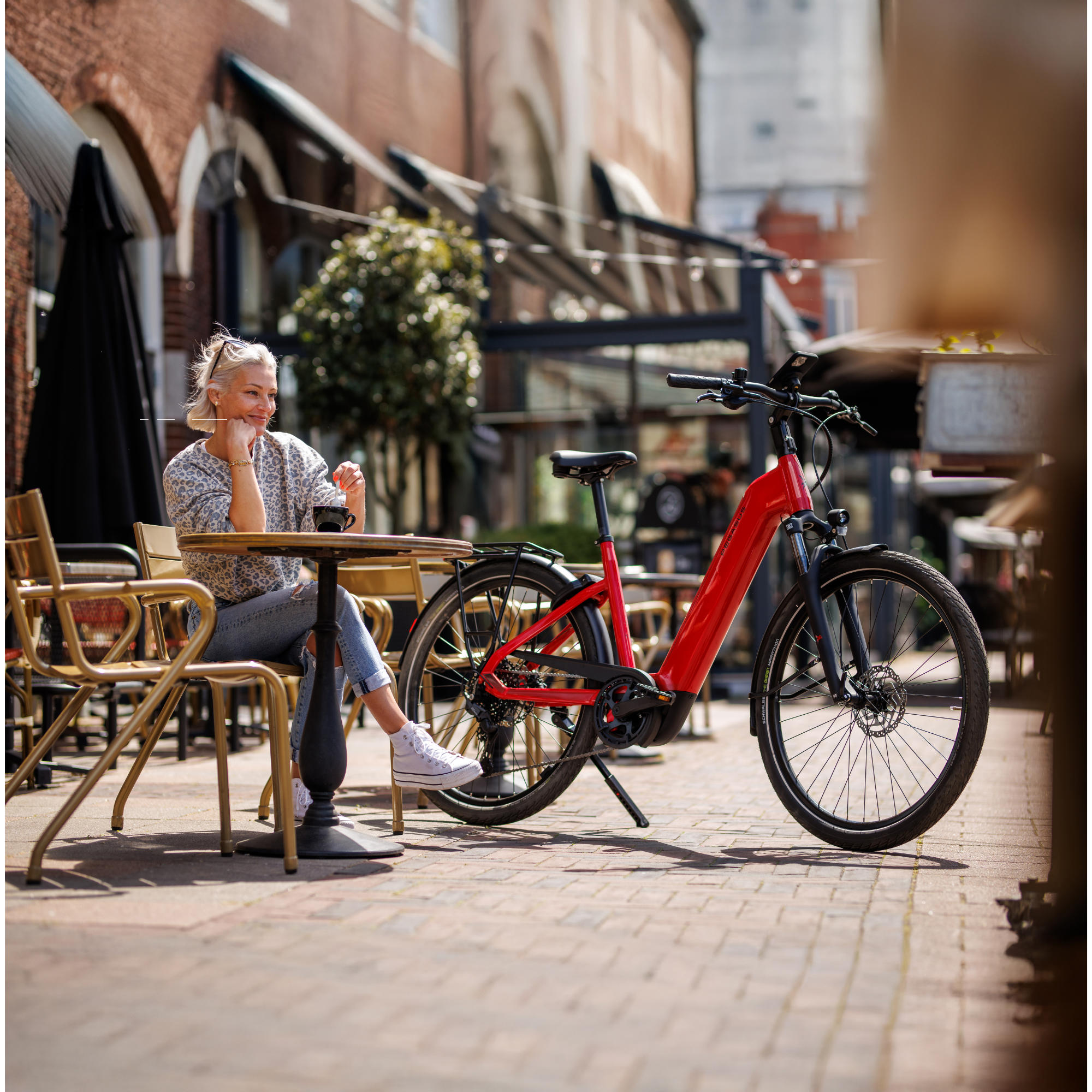 Pegasus Solero EVO 10 E-Bike Trekkingrad Tiefeinsteiger 28" rot