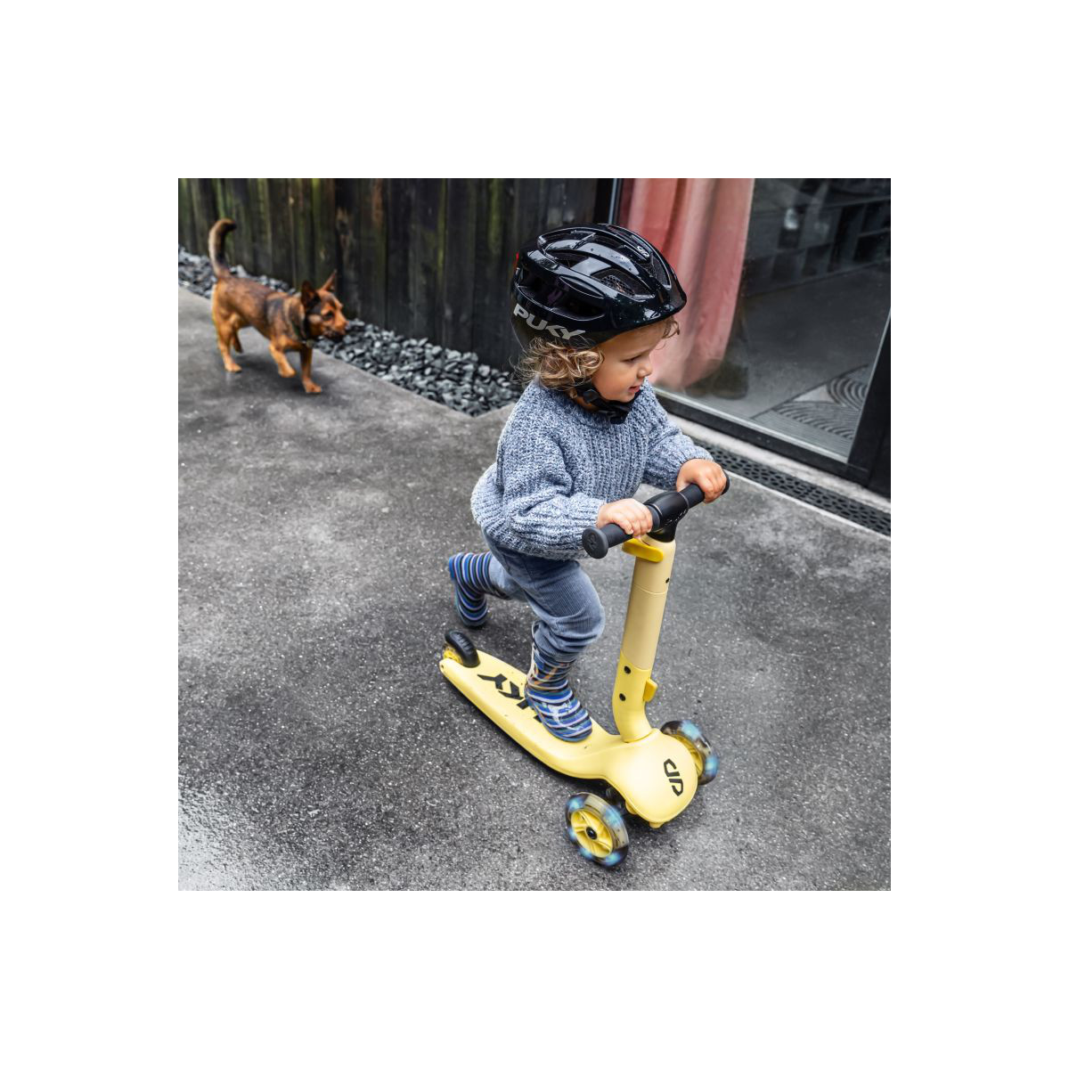 Puky Push Roller gelb